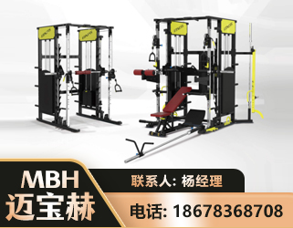 铜陵多功能综合训练器