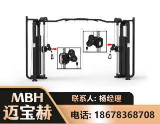 铜陵大飞鸟训练器